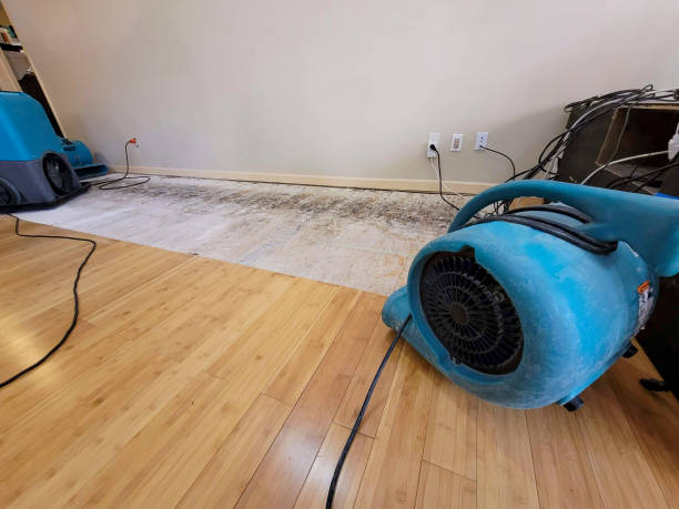 Professional Structural Drying technician working in Pantego, NC